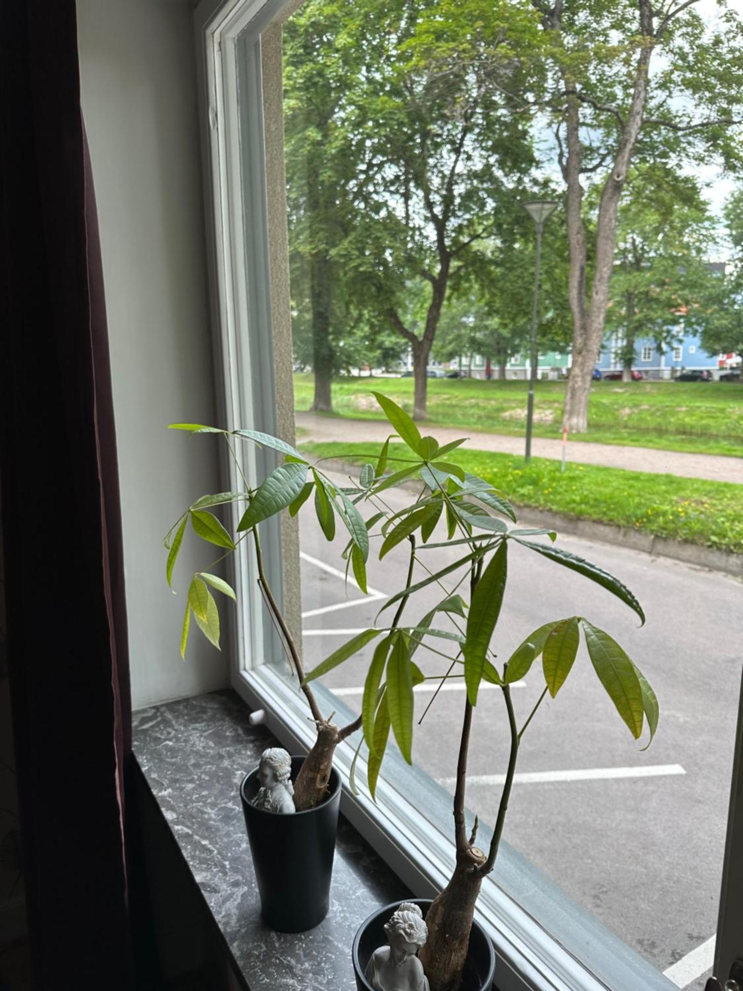 Pramkanalens Pensionat I カールスタード エクステリア 写真